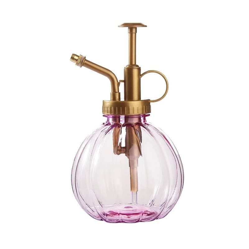 Small Hand Pump Pressure Sprayer
